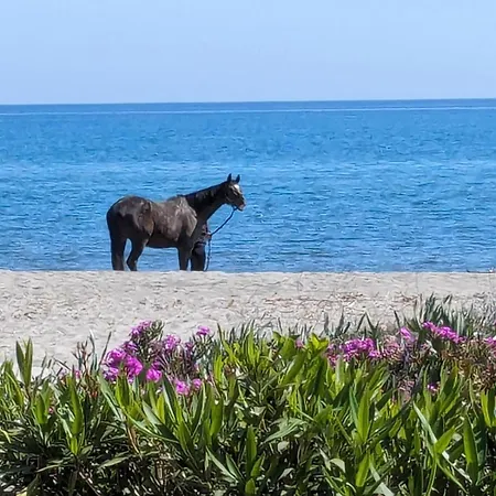 Spacieuse Avec Acces Direct A La Plage- By Conciergerie De Haute Corse Casa vacanze *